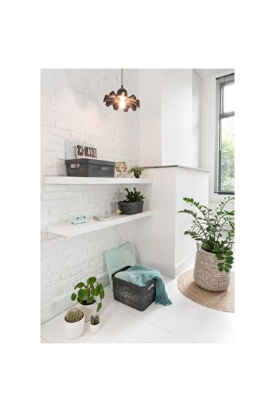 ANTBRO ® Plastic Storage Box, Grey, with Handles, 26 x 17.5 x 12.3 cm, 4.5 L