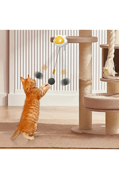 Lady Fify Automatic Moving Ball Toy for Cat and Dog