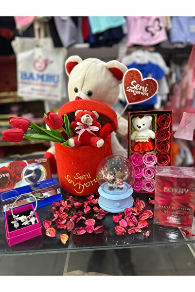 HEDİYE SETİNİZ “Sevgi Dolu Hediye Seti – Peluş Ayıcık, Yapay Çiçek, Kar Küres...