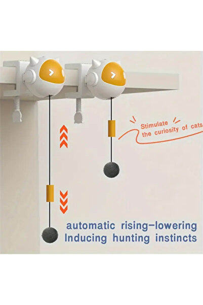 Lady Fify Automatic Moving Ball Toy for Cat and Dog