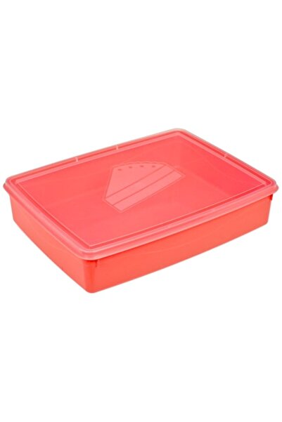 easyCTRL Caserola prajituri si alimente, inchidere etansa, fara BPA, portocaliu, 4200ml