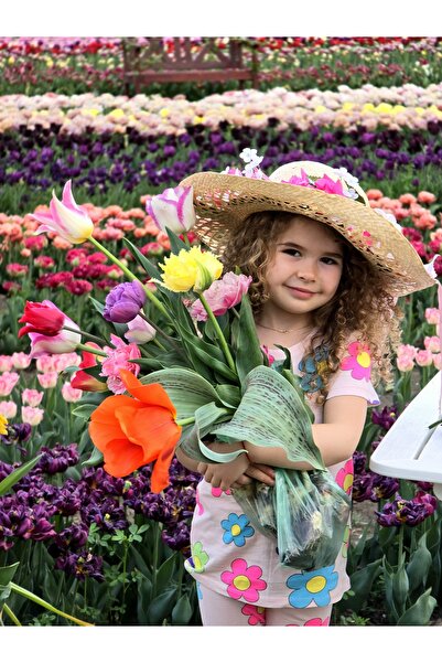 Bulbi și Plante GIANT TULIPS - 5 BULBS