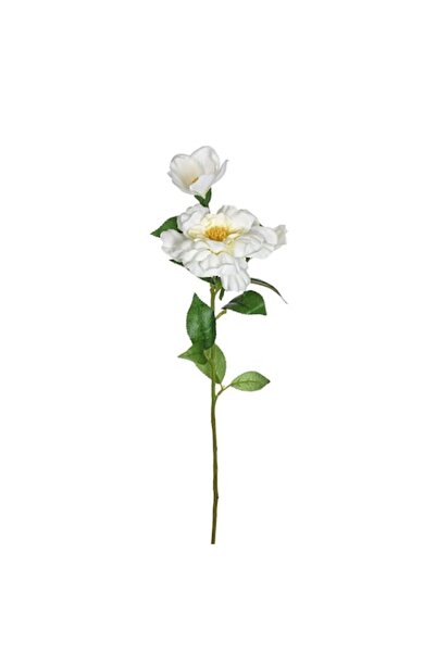 OEM Floare artificială, Camelie, Tulpină lungă, Culoare albă, Înălțime 66 cm