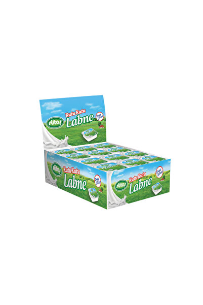 PİKNİK PAKETİ Porsiyon Labne Peyniri 20 Gram X 48 Adet