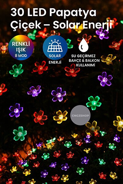 CNGZSHOP Solar Güneş Enerjili Papatya Çiçek LED Işık Zinciri – 30 LED, 8 Mod,...