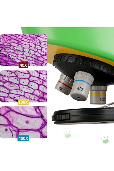 Generic Dinosaur Theme Microscope Set for Kids 40X-400X STEM Learning Kit with Slides & Accessories