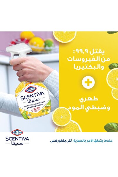 Clorox Scentiva Multi-Surface Cleaner Spray, Madagascar Citrus Garden, 500 ml