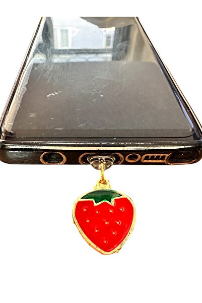 Lightning (Charging Port with Iphone Port) Phone Charging Protection Accessory / Leggings / Dust Plug / Charm