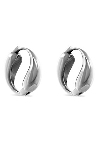 Aldo γυναικεία σκουλαρίκια 13834920 ασημί