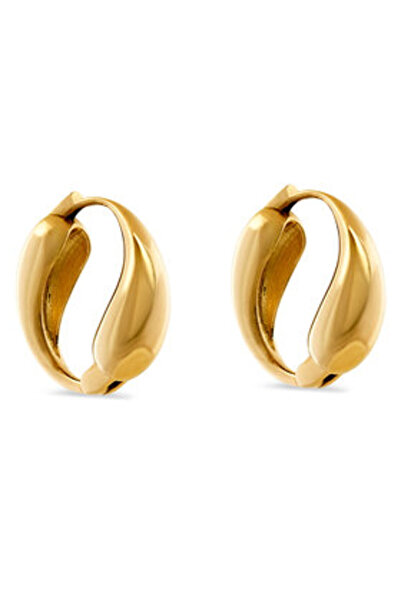 Aldo γυναικεία σκουλαρίκια 13834922 χρυσά