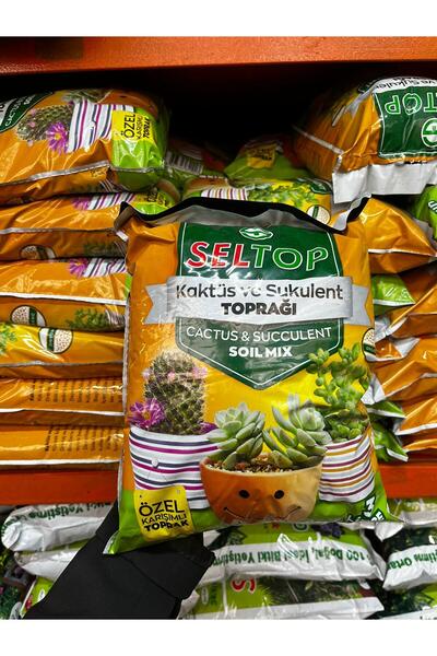KAKTÜS SUKULENT TOPRAĞI - 3 LİTRE İÇ MEKAN TORFU