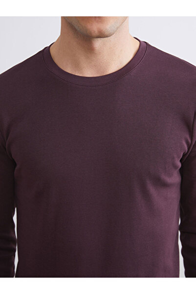 LC Waikiki Sparkling Selections from Shining Store | Crew Neck Men's Sweatshirt