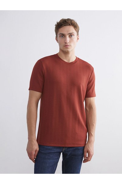 LC Waikiki Quality Parts from Çelebi Store Zero Roba Yaka Men's T-Shirt
