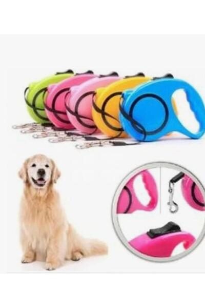 GOLD BE طوق تسلق آلي للكلاب بطول 3 أمتار