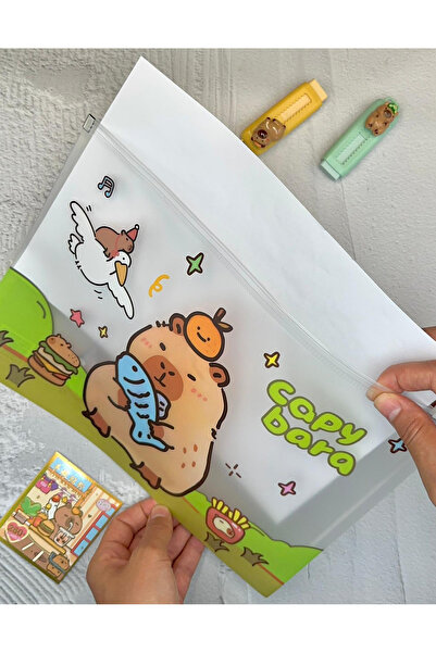 ZeCo Collection Capybara Şeffaf Tek Bölmeli A4 Fermuarlı Dosya Klasörü / Belge Dosyası/Düzenleyici Klasör/ Dosya