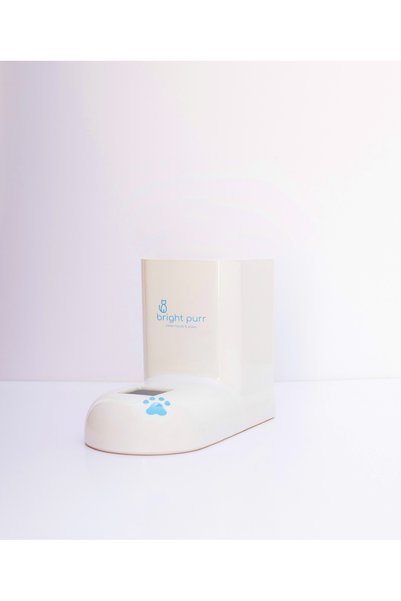Bright Purr وعاء سيراميك للشرب للقطط والكلاب