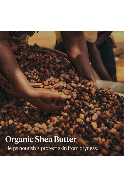 L'Occitane Organic Shea Butter Lip Balm Stick, Moisturizes & Repairs Dry Lips, Vegan