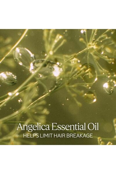 L'Occitane Intensive Repair Shampoo 16.90 fl. oz