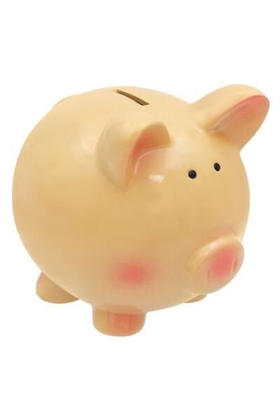 OEM Ceramic Money Box, Pig Shape, 17x15x17 cm, Salmon Pink