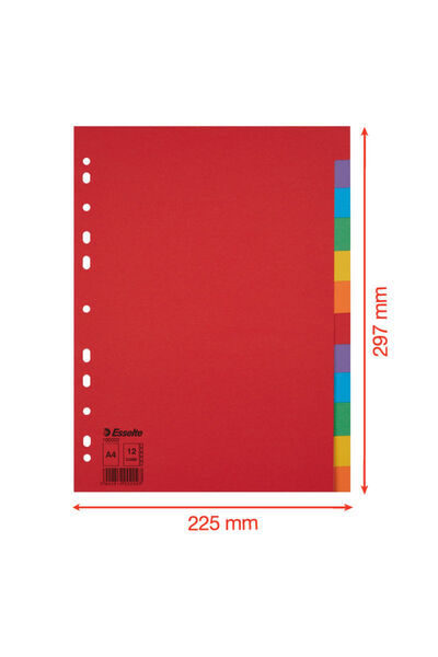 Esselte Separator carton A4 1-12 diviziuni de culoare
