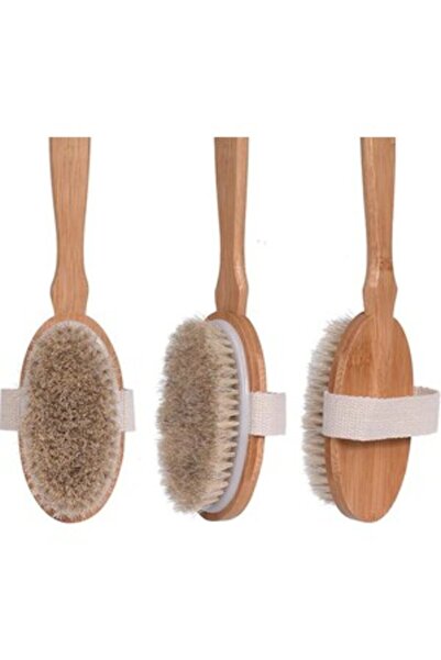 Kanonik Education فرشاة حمام من شعر الحصان بمقبض