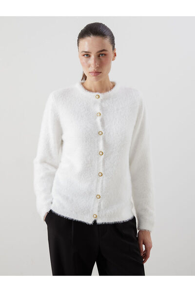 LC Waikiki سترة تريكو نسائية كلاسيكية ذات رقبة دائرية من LCWAIKIKI (W5)