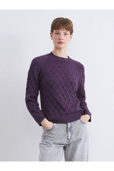 LC Waikiki Vizyon New Season Crew Neck Self-Patterned Women's Knitwear Sweater