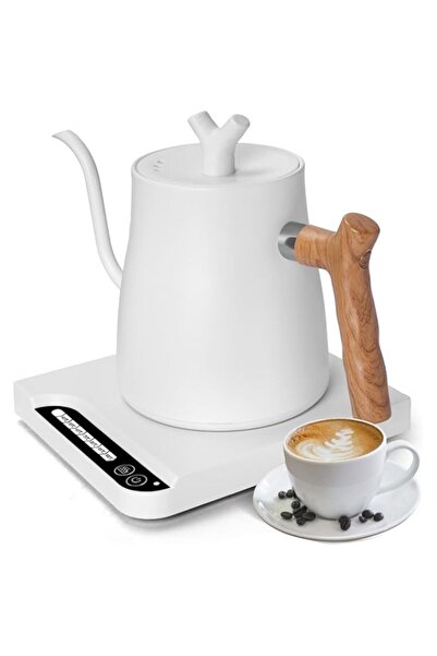 Generic perforlld | Electric Temperature Control Gooseneck Kettle, 1000W Quick Heating, 304 Stainless Steel