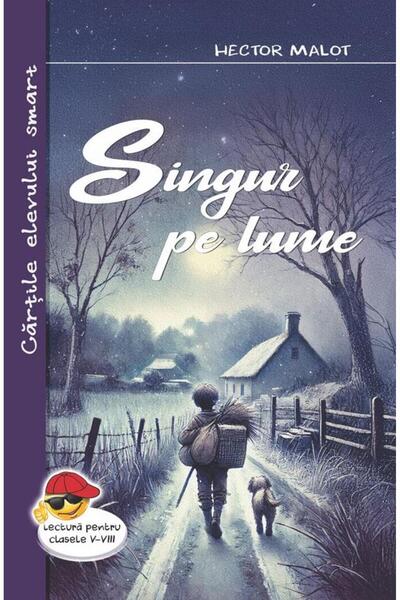 Editura Cartex Singur pe lume, Hector Malot