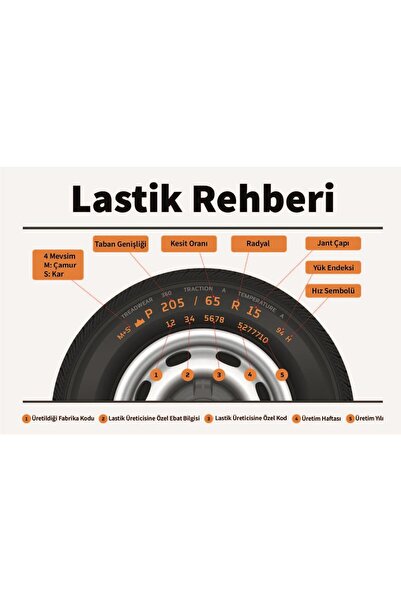 Dayton DW510 Evo 205/55 R16 91H Kış Lastiği - 2025