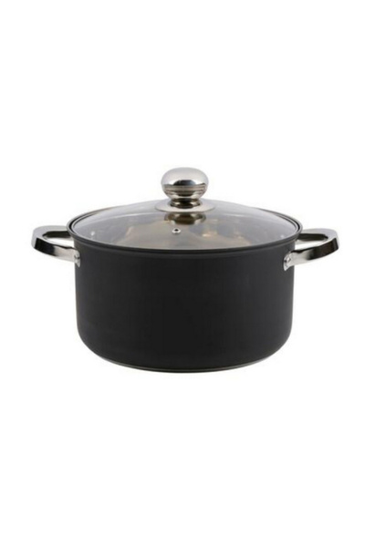 Alpina 2-Piece Kitchen Essential Cooking Pan with Lid 6.1 Liter