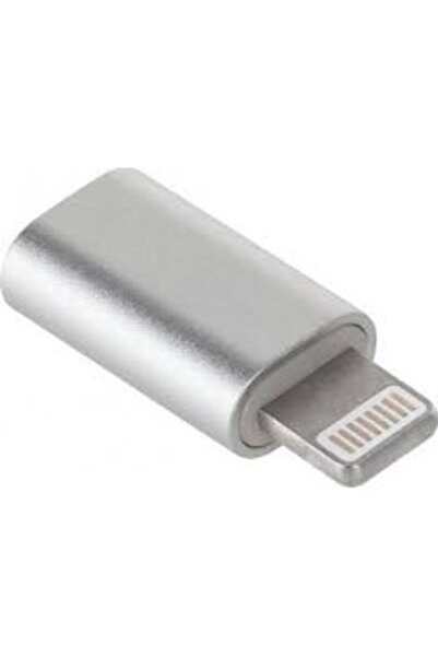 Flippy Αντάπτορας τύπου C (θηλυκό) σε Lightning (αρσενικό) με μπρελόκ, ασημί