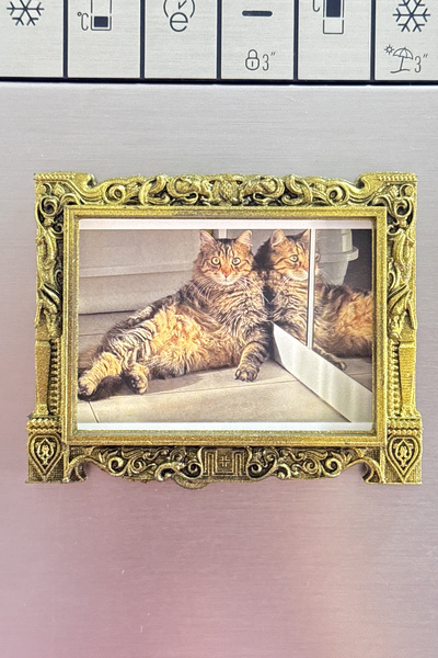 ZAP AKSESUAR Magnet Çerçeve, Boyutlu Klasik Tarz Minyatür Çerçeve Magnet