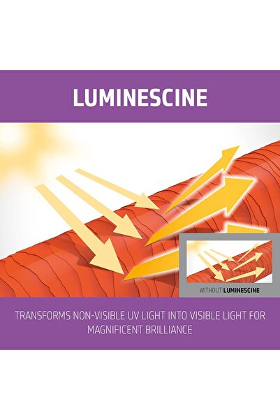 GOLDWELL Dualsenses Blondes & Highlights Anti Yellow Shampoo, 1er Pack (1 x 1 l), Unparfümiert