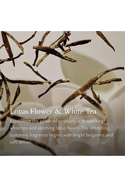 Rituals Auto Parfüm Refill Karma Car Air Freshener