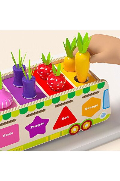 Picodino Toneta cu fructe si legume Joc de sortare si clasificare