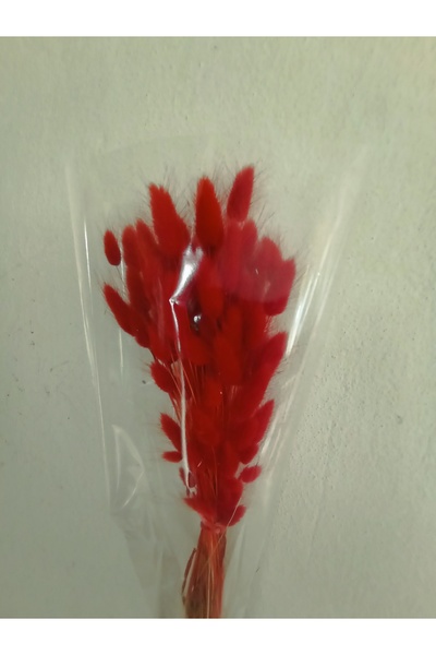 Esse Bahçe Doğal Kurutulmuş Pamuk Otu, Tavşan Kuyruğu Gelin Buketi Aranjman Ç...