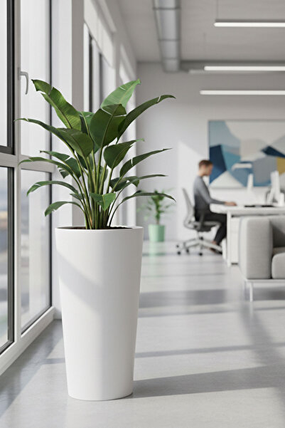 DEQQU Aura Vaso 70x40cm Konik Fiberglass Saksı Büyük Boy İç Mekan Dış Mekan