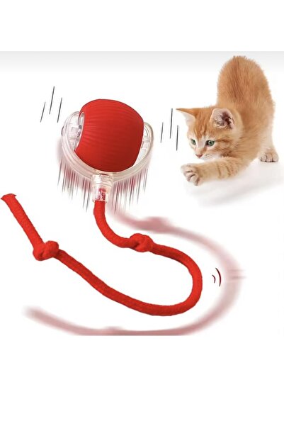 TWEETY Akıllı Kedi Oyuncağı, USB Şarjlı, LED Işıklı, 3 Modlu, Otomatik Yuvarl...