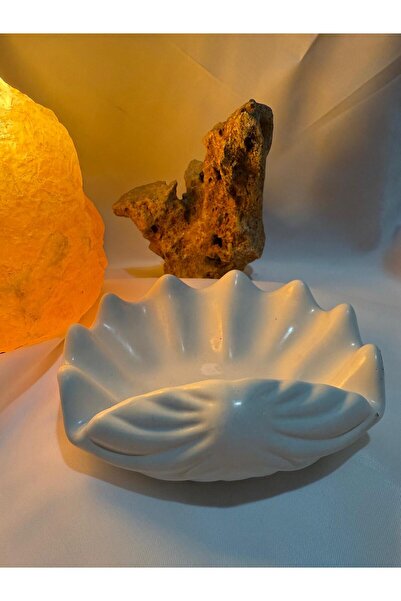 Ferdali Hediyelik, Dekoratif İstiridye, Kolye Bileklik Takı Düzenleyici