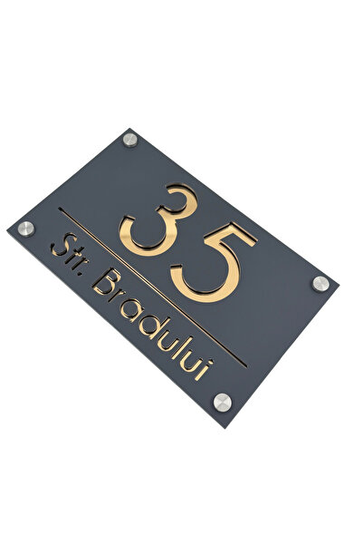 Adresa VIP NUMAR CASA PREMIUM - Gri Satinat Auriu Oglinda 4 Distantieri Argin...