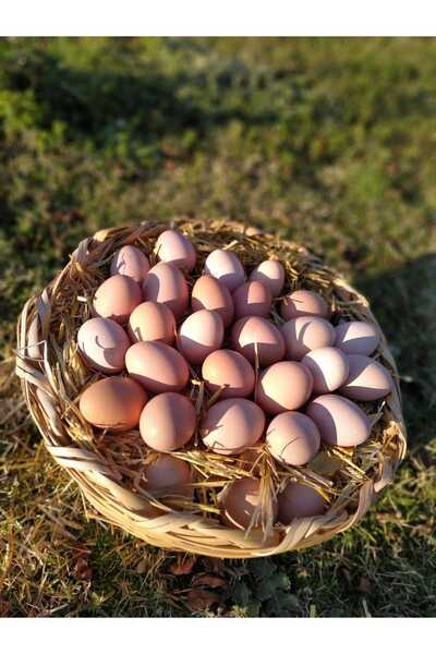 Bozkaya Tekstil Gıda Organik Gezen Tavuk Köy Yumurtası 30'lu Paket