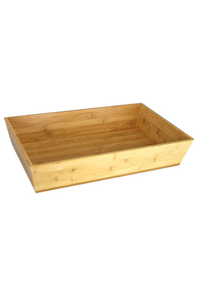 Raki Serving tray presentation GN 1/1, 53x32.5x10cm