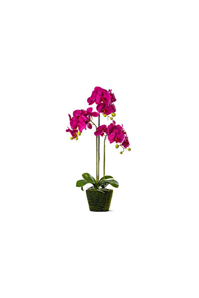 sultan garden center Artificial Orchid Realtouch