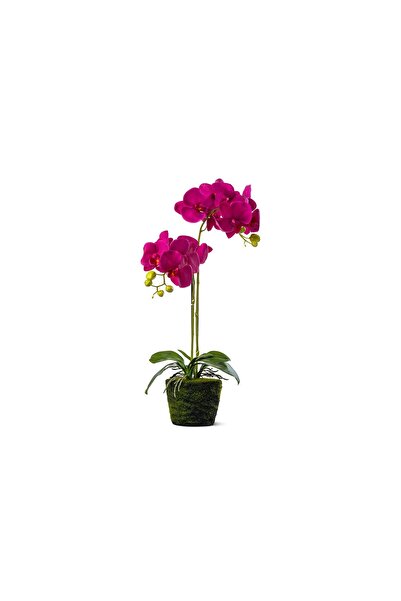 sultan garden center Artificial Orchid Realtouch