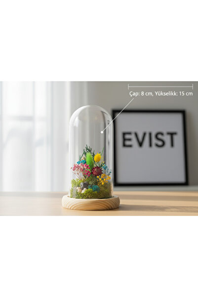 EVİST Ahşap Kaideli Cam Fanus – 8x15 cm Şeffaf Dekoratif Hobi ve Sergileme Fa...