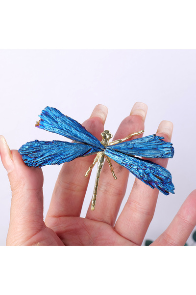 Choice حجم صغير 1 قطعة حجر الكريستال الطبيعي التورمالين الأسود هالة اللهب الأ...