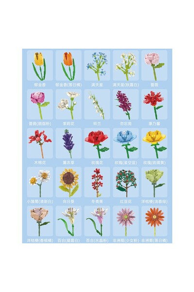 Stavye Plante Baby's Breath Lego Flower Model Building Kit Adult and Child