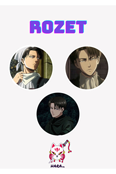 Hara Company Attack on Titan ( Titana Saldırı) Animesi Levi Ackerman Anime Ro...