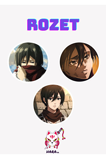 Hara Company Attack on Titan ( Titana Saldırı) Animesi Mikasa Ackerman Anime ...